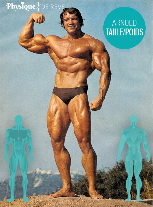 Arnold-Schwarzenegger-taille-poids
